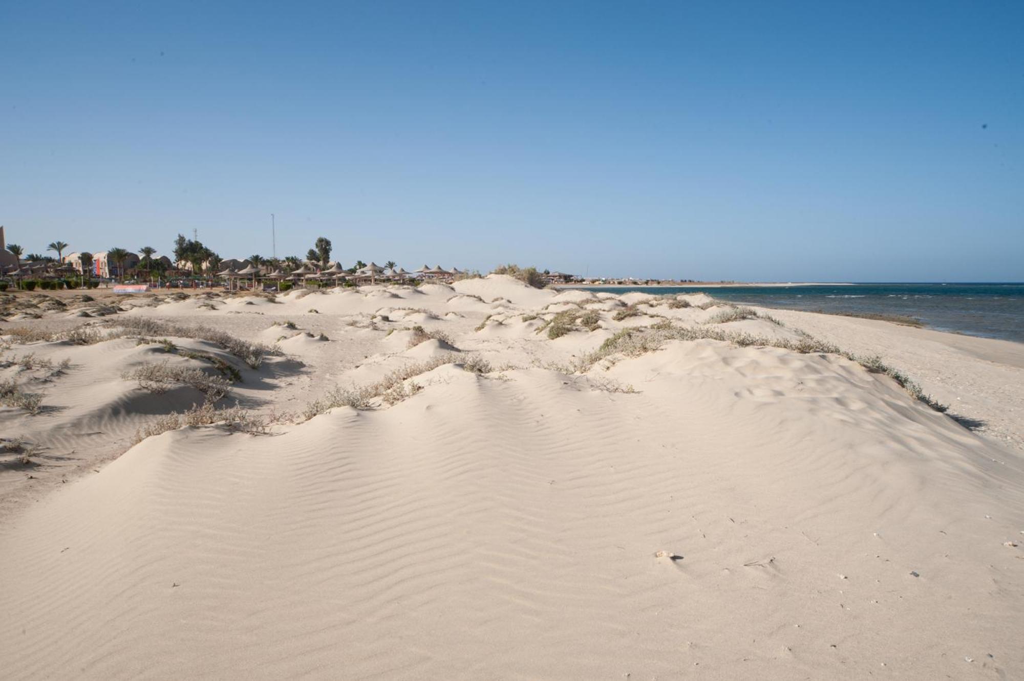 Shams Alam Beach Resort Abū Ghuşūn Eksteriør billede