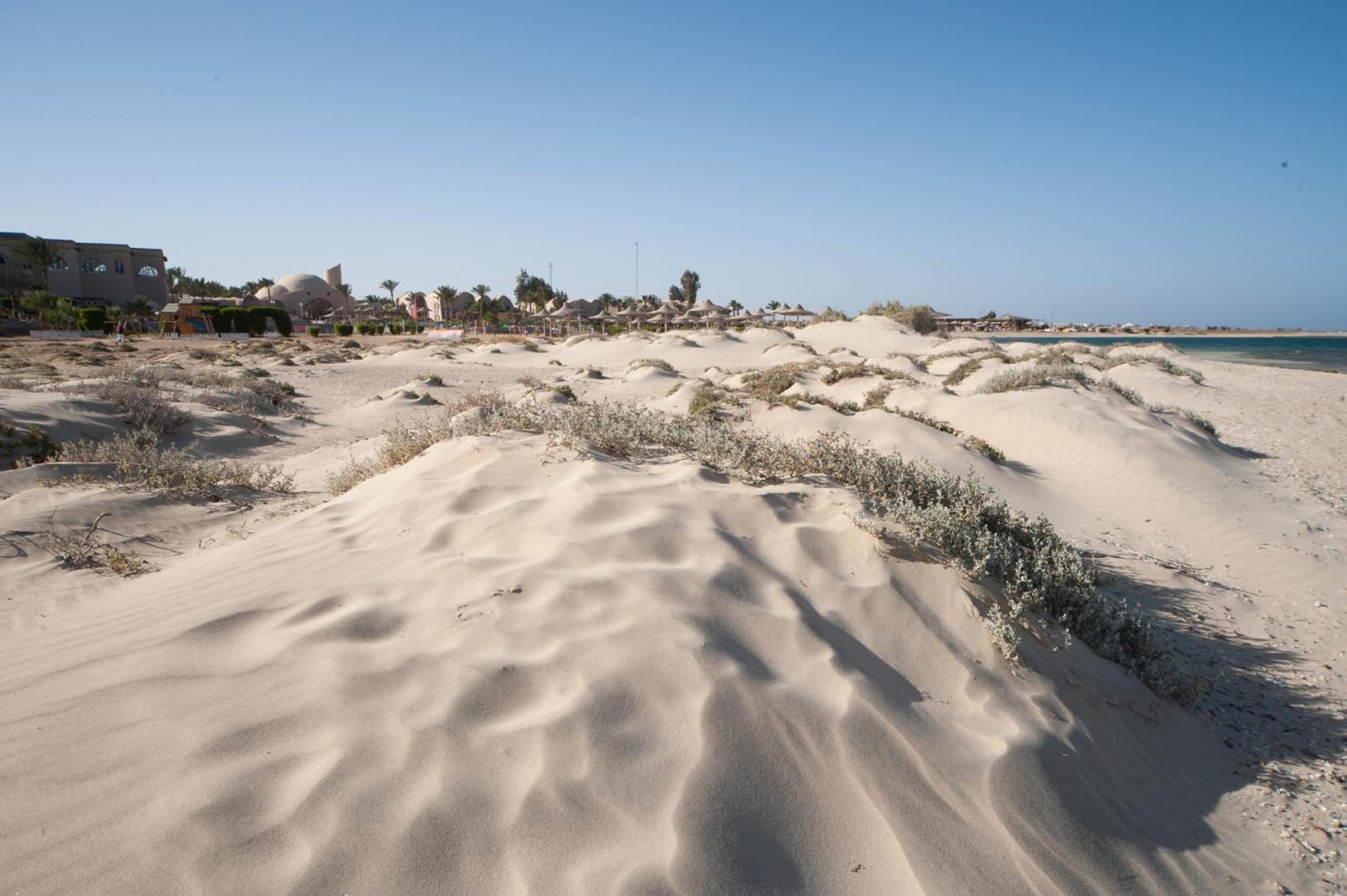 Shams Alam Beach Resort Abū Ghuşūn Eksteriør billede